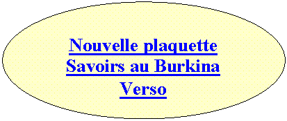 Ellipse: Nouvelle plaquette
Savoirs au Burkina
Verso
