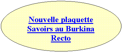 Ellipse: Nouvelle plaquette
Savoirs au Burkina
Recto
