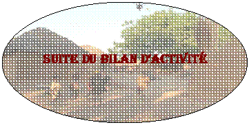 Ellipse: Suite du Bilan dactivit
